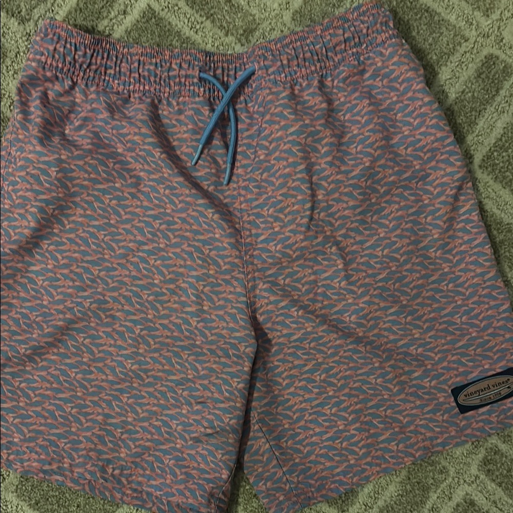 Men's Blue and Pink Patterned Swim Trunks